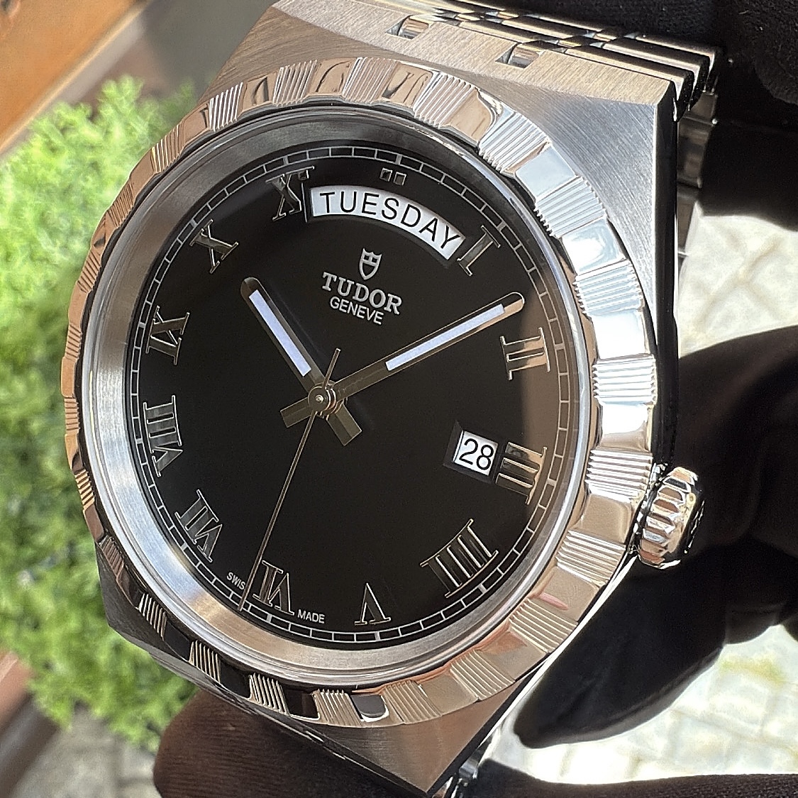 Tudor Royal