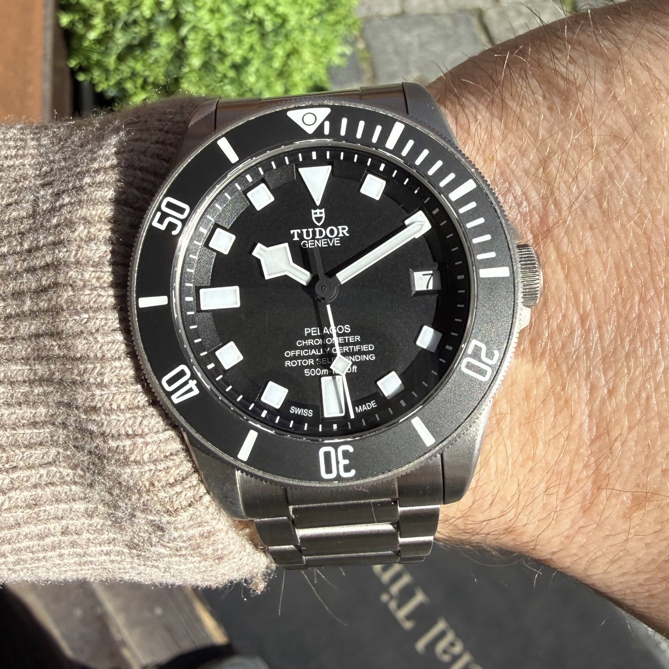 Tudor Pelagos Titanium