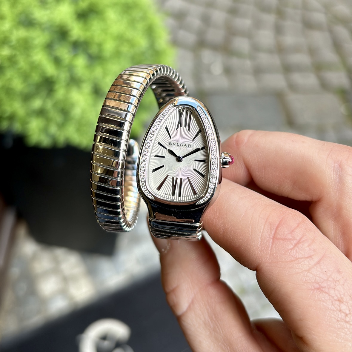 Bulgari Serpenti
